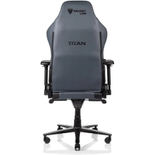 Купити Крісло для геймерів Secretlab TITAN 2020 Prime 2.0 PU Leather Gaming Ash (TT20-PU-Ash) - фото 5