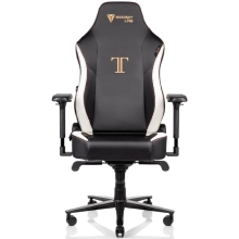 Купити Крісло для геймерів Secretlab TITAN 2020 Prime 2.0 PU Leather Gaming Classic (TT20-PU-Classic) - фото 1