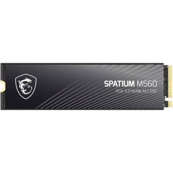 Купить SSD диск MSI Spatium M560 1TB M.2 (S78-440L0F0-P83) - фото 1