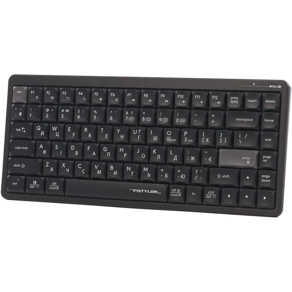 Купити Клавіатура A4Tech Fstyler FBX53C Black - фото 3
