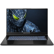 Купить Ноутбук Dream Machines RG5050-17 (RG5050-17UA21) - фото 1