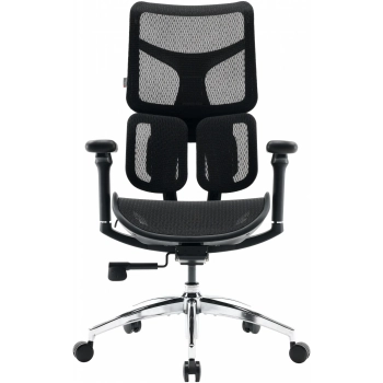 Купить Кресло офисное Sihoo DORO S100 Mesh Black (S100-M301) - фото 1