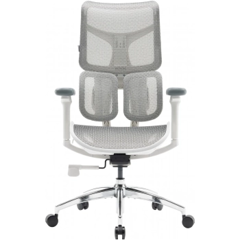 Купить Кресло офисное Sihoo DORO S100 Mesh White (S100-M302) - фото 1