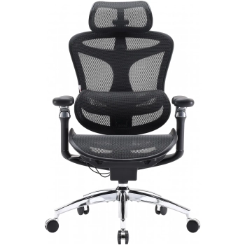 Купить Кресло офисное Sihoo DORO C300 Pro Mesh Black (DORO-C300-PRO-M101) - фото 1