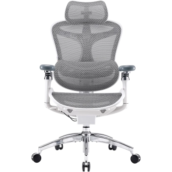 Купить Кресло офисное Sihoo DORO C300 Pro Mesh White (DORO-C300-PRO-M102) - фото 1