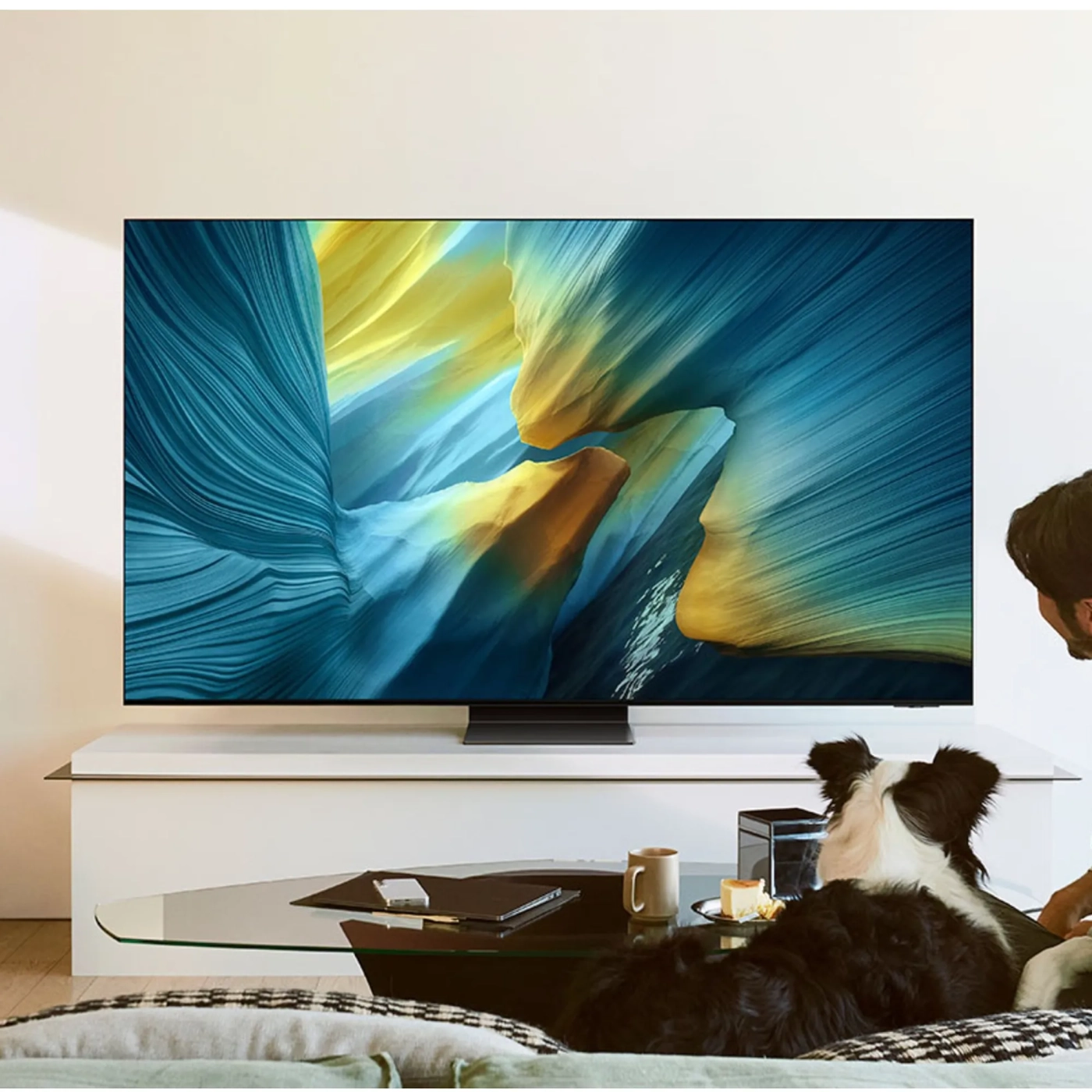 Купити Телевізор Samsung QE65S95FAUXUA - фото 5