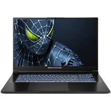 Купить Ноутбук Dream Machines RG5050-17 (RG5050-17UA25) - фото 1