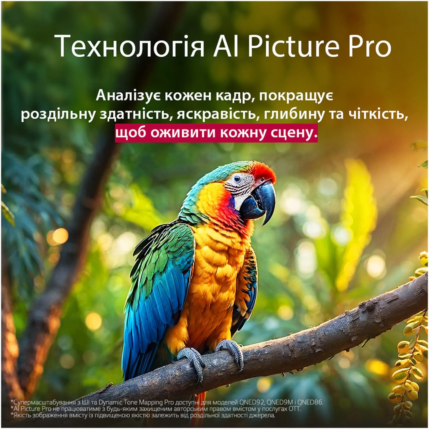 Купити Телевізор LG 50QNED86A6C - фото 14