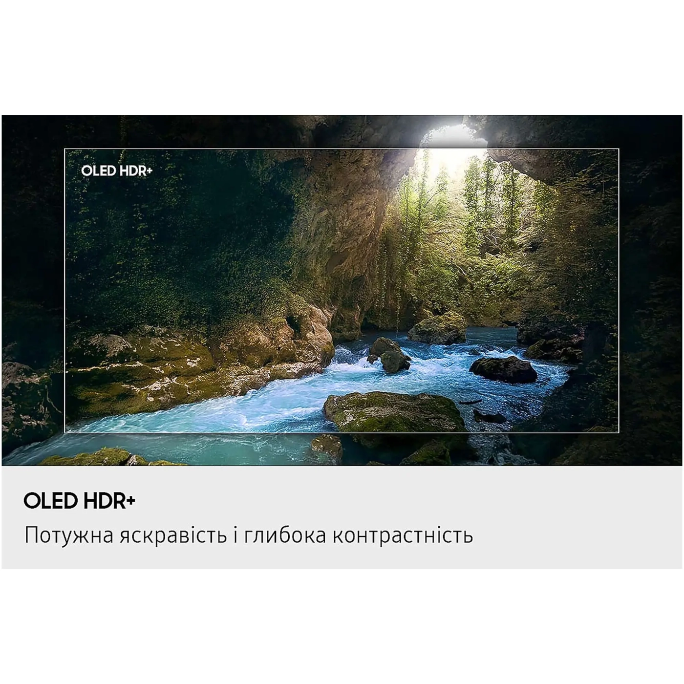 Купити Телевізор Samsung QE65S90FAUXUA - фото 8
