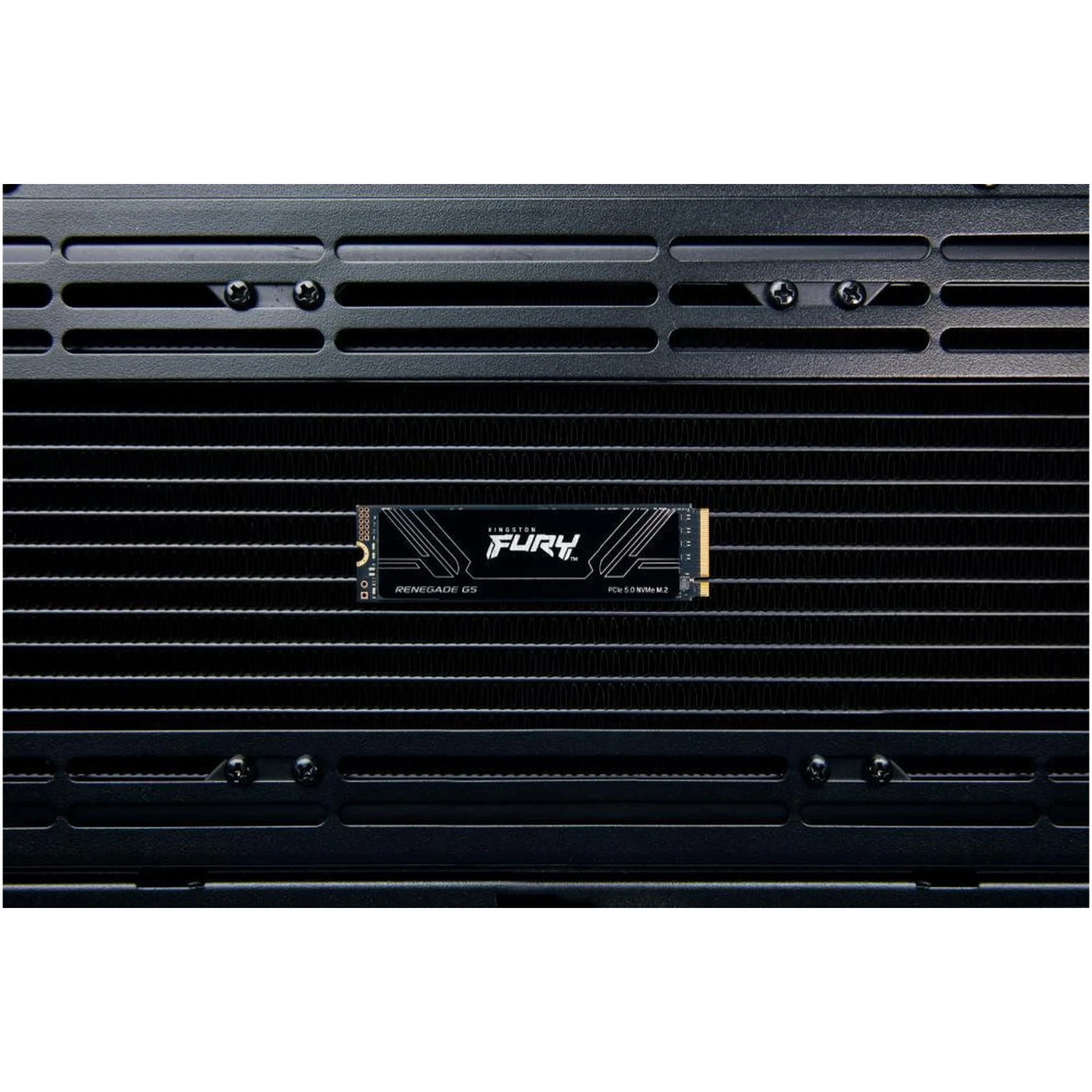 Купити SSD диск Kingston Fury Renegade G5 1TB M.2 (SFYR2S/1T0) - фото 5