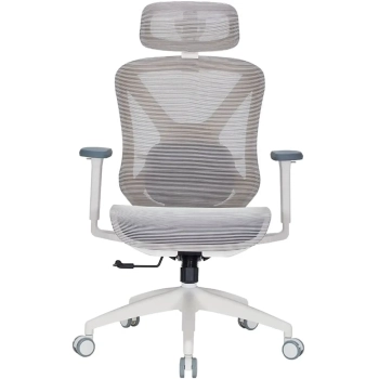 Купити Крісло офісне Officepro Atlas OC630-W-LG-LG White/Light Gray - фото 1