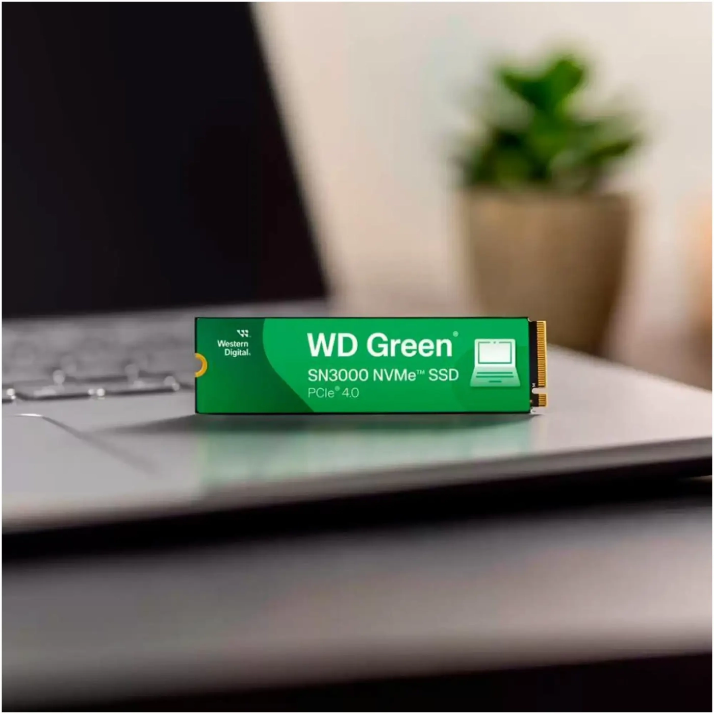 Купити SSD диск WD Green SN3000 1 TB (WDS100T4G0E) - фото 3