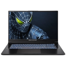 Купить Ноутбук Dream Machines RG5050-17 (RG5050-17UA24) - фото 1