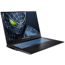 Купить Ноутбук Dream Machines RG5050-17 (RG5050-17UA24) - фото 2