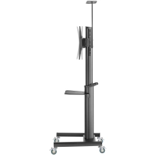 Купить Презентационная стойка Gembird TVS-70T-02 - фото 3