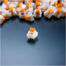 Купить Комплект переключателей RAZER Mechanical Switches Pack - Orange Tactile switch (RC21-02040300-R3M1) - фото 6