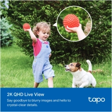 Купить Умная камера TP-LINK Tapo C425 KIT - фото 6