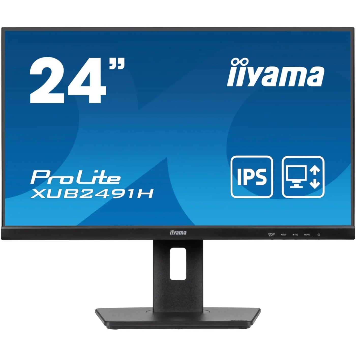 Купити Монітор 24" Iiyama ProLite XUB2491H (XUB2491H-B1) - фото 1