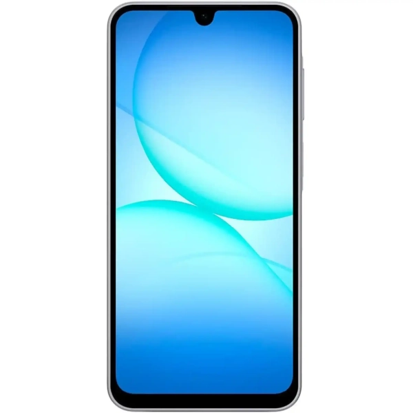 Купить Смартфон Samsung Galaxy A17 LTE 8/256Gb Gray (SM-A175FZAEEUC) - фото 2