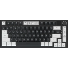 Купити Клавіатура GamePro Asgard Valhalla Pro 75% Rainy switches (MK160B-D-Pro) - фото 2