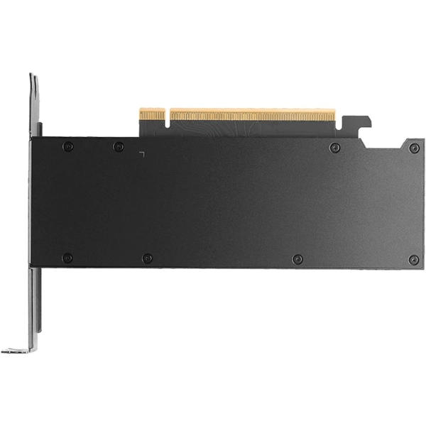 Купить Видеокарта PNY Nvidia RTX PRO 2000 16GB (VCNRTXPRO2000-SB) OEM - фото 3