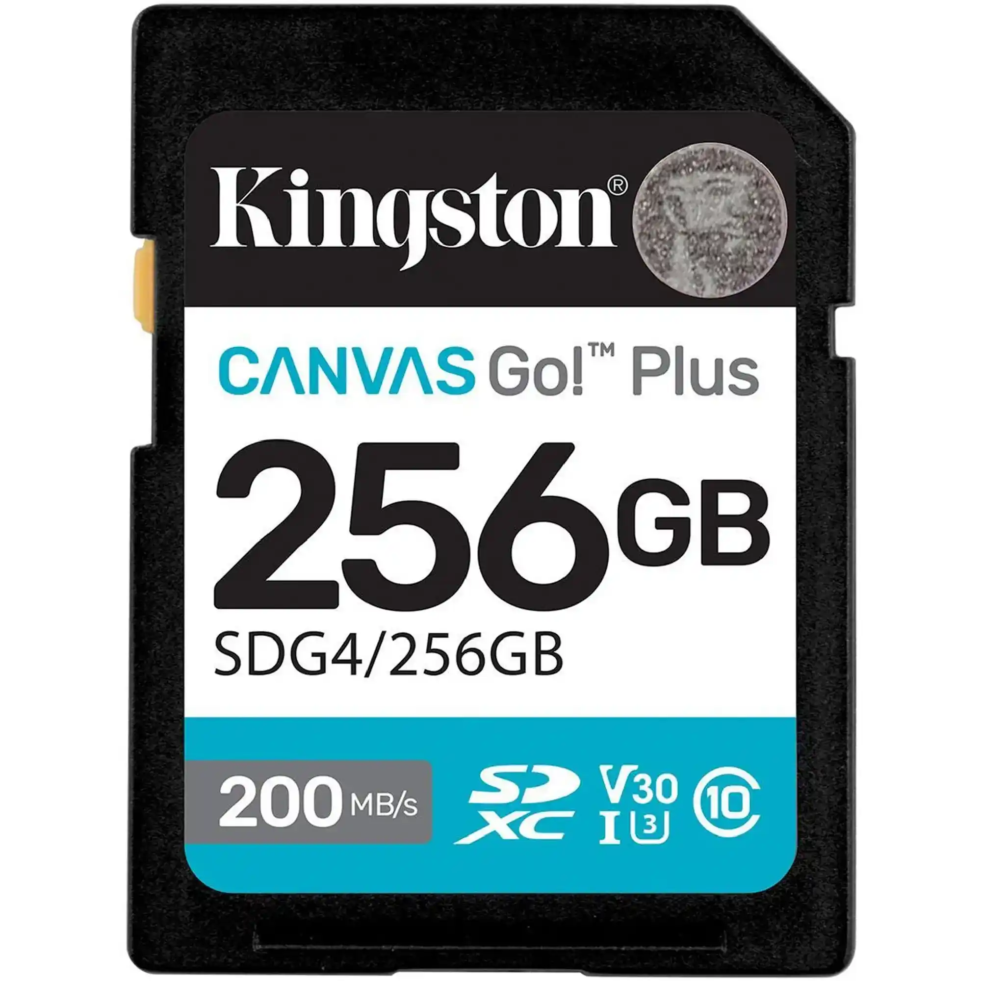 Купить Карта памяти Kingston 256GB SDXC сlass 10 UHS-I U3 V30 Canvas Go Plus G4 (SDG4/256GB) - фото 1