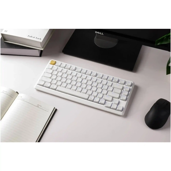 Купить Клавиатура Keychron J1 82 Key RGB K pro Banana White (J1-Q4-UA) - фото 2