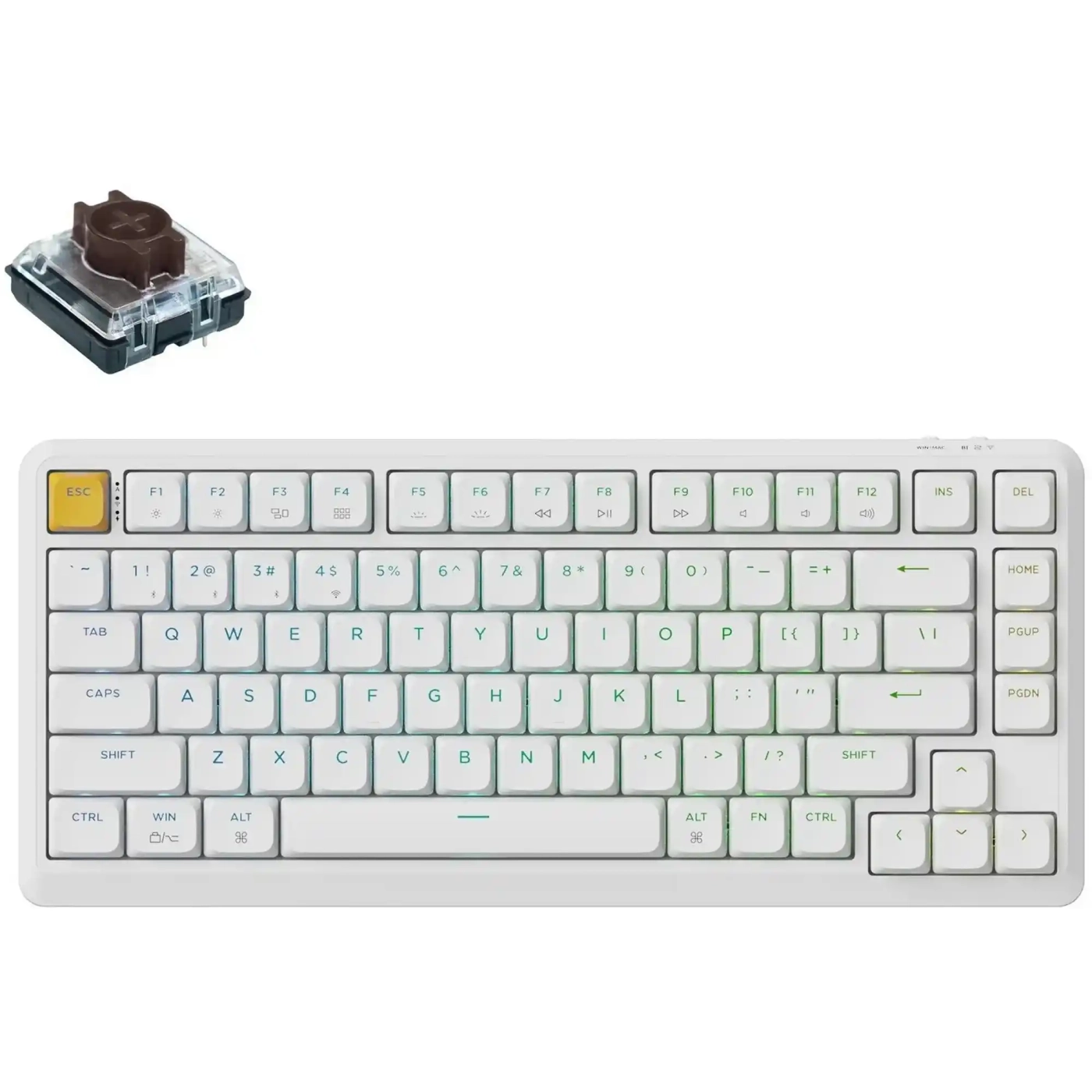 Купить Клавиатура Keychron J1 82 Key RGB K pro Brown White (J1-Q3-UA) - фото 1