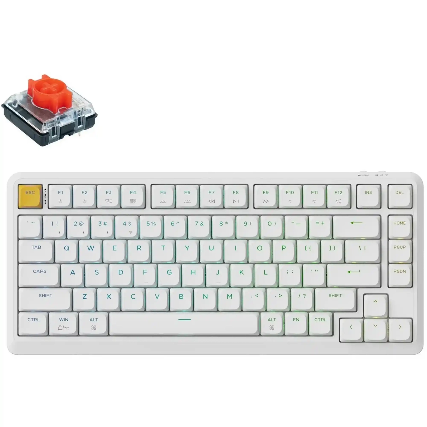 Купить Клавиатура Keychron J1 82 Key RGB K pro Red White (J1-Q1-UA) - фото 1