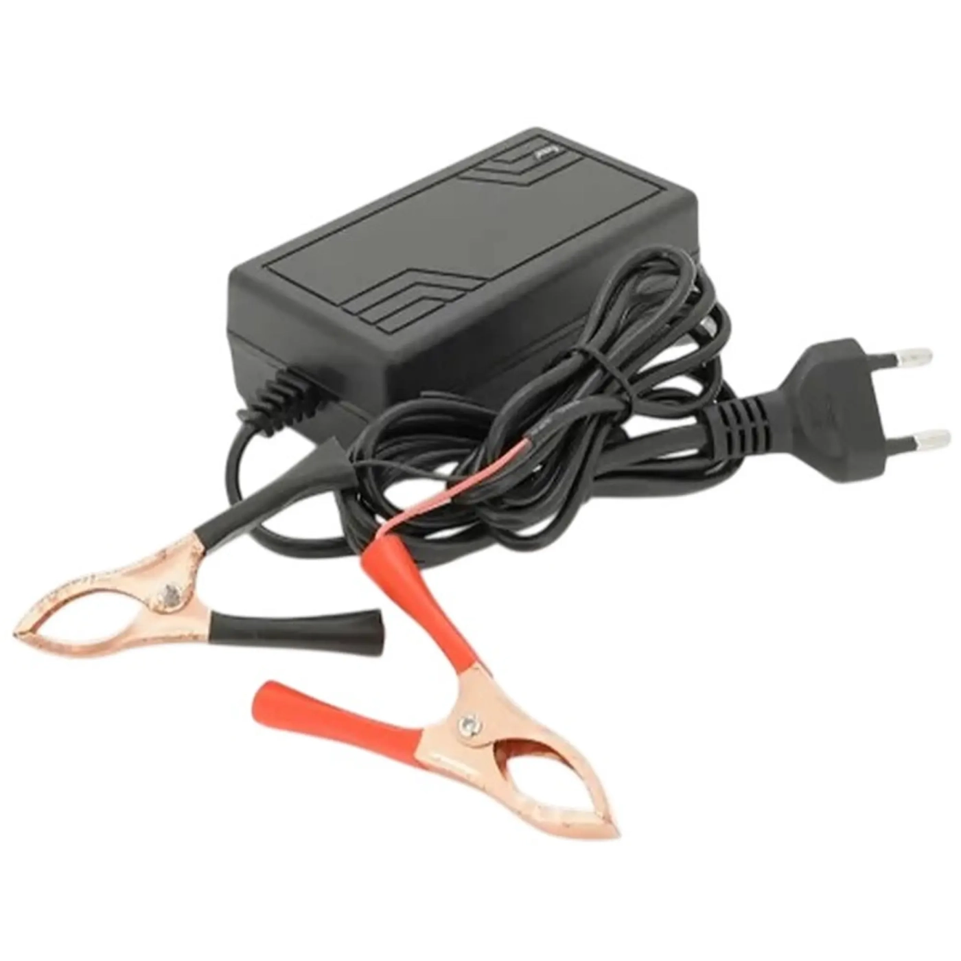 Купить Сетевое зарядное устройство для АКБ Voltronic YT-CKS-14620 - фото 1