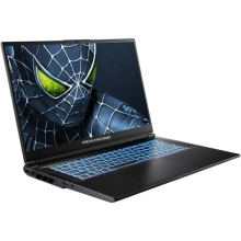 Купить Ноутбук Dream Machines RG5050-17 (RG5050-17UA29) - фото 2