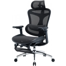 Купить Кресло офисное Sihoo DORO C300L Mesh with footrest Black (DORO-C300L-A3-101-JT) - фото 3