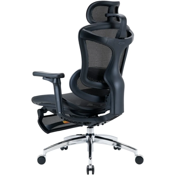 Купить Кресло офисное Sihoo DORO C300L Mesh with footrest Black (DORO-C300L-A3-101-JT) - фото 4