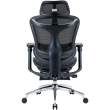 Купить Кресло офисное Sihoo DORO C300L Mesh with footrest Black (DORO-C300L-A3-101-JT) - фото 6
