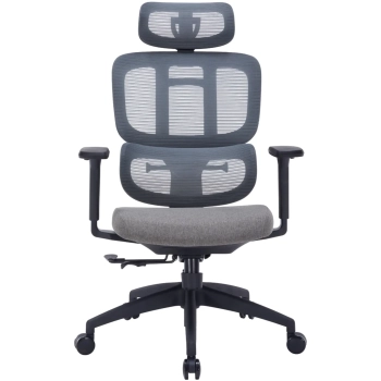 Купить Кресло офисное OfficePro Skyline OC580-B-DG-DG Black/Dark Gray - фото 1