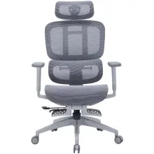Купити Крісло офісне OfficePro Skyline Footrest OC750-G-DG-DG Gray/Dark Gray - фото 1