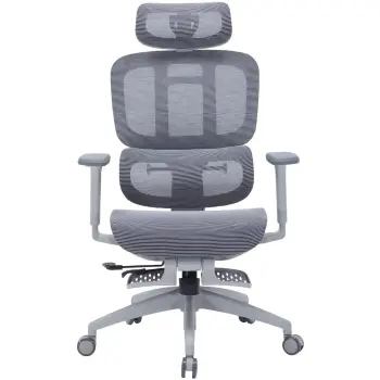 Купити Крісло офісне OfficePro Skyline Footrest OC750-G-DG-DG Gray/Dark Gray - фото 1