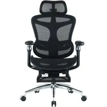 Купити Крісло офісне Sihoo DORO C300 Pro Mesh Black with footrest (DORO-C300-PRO-M101-JT) - фото 1