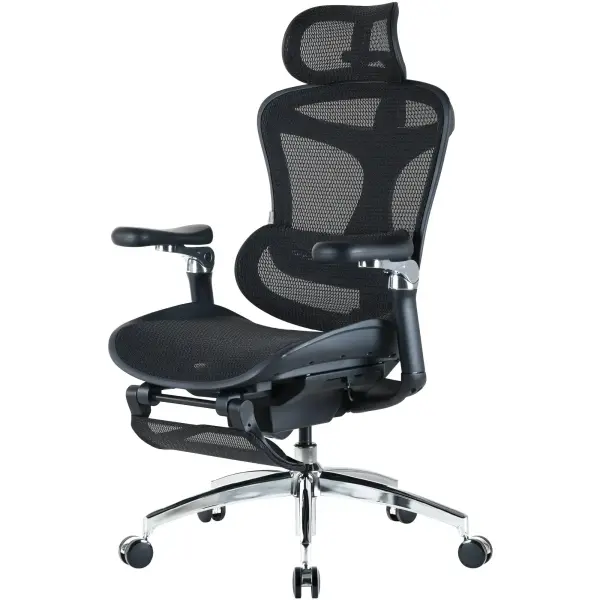 Купити Крісло офісне Sihoo DORO C300 Pro Mesh Black with footrest (DORO-C300-PRO-M101-JT) - фото 3
