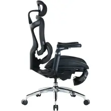Купити Крісло офісне Sihoo DORO C300 Pro Mesh Black with footrest (DORO-C300-PRO-M101-JT) - фото 4