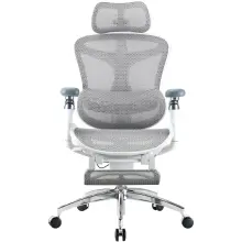 Купити Крісло офісне Sihoo DORO C300 Pro Mesh White with footrest (DORO-C300-PRO-M102-JT) - фото 1