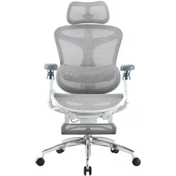 Купити Крісло офісне Sihoo DORO C300 Pro Mesh White with footrest (DORO-C300-PRO-M102-JT) - фото 1