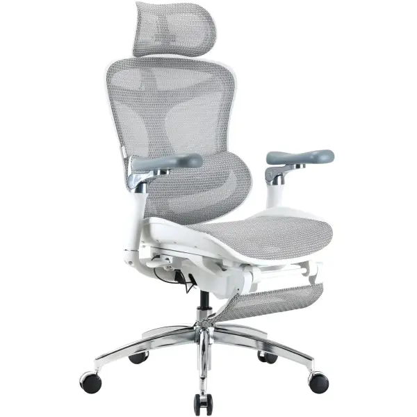 Купити Крісло офісне Sihoo DORO C300 Pro Mesh White with footrest (DORO-C300-PRO-M102-JT) - фото 2