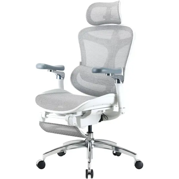 Купити Крісло офісне Sihoo DORO C300 Pro Mesh White with footrest (DORO-C300-PRO-M102-JT) - фото 3