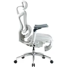 Купити Крісло офісне Sihoo DORO C300 Pro Mesh White with footrest (DORO-C300-PRO-M102-JT) - фото 4