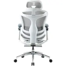 Купити Крісло офісне Sihoo DORO C300 Pro Mesh White with footrest (DORO-C300-PRO-M102-JT) - фото 5