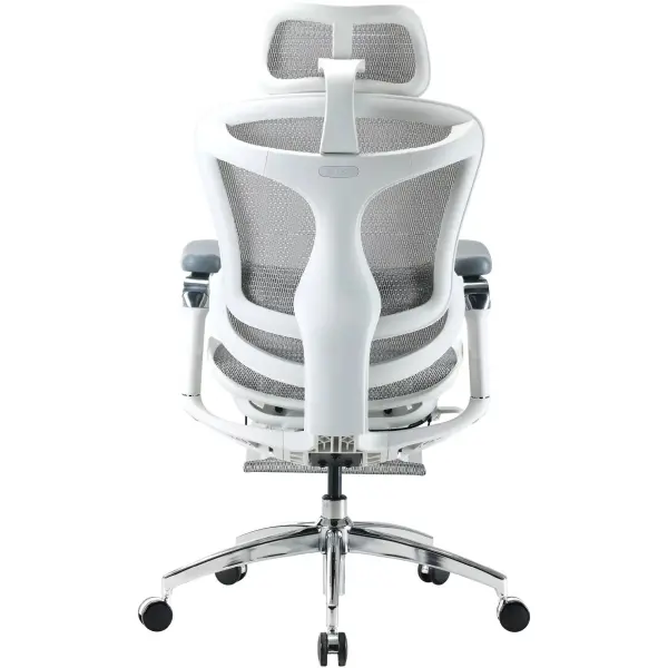 Купити Крісло офісне Sihoo DORO C300 Pro Mesh White with footrest (DORO-C300-PRO-M102-JT) - фото 5