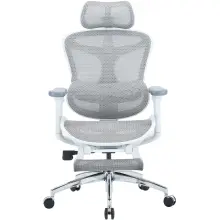 Купити Крісло офісне Sihoo DORO C300L Mesh White with footrest (DORO-C300L-A3-102-JT) - фото 1