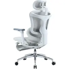 Купити Крісло офісне Sihoo DORO C300L Mesh White with footrest (DORO-C300L-A3-102-JT) - фото 4