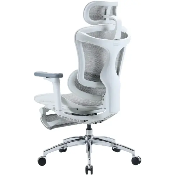 Купити Крісло офісне Sihoo DORO C300L Mesh White with footrest (DORO-C300L-A3-102-JT) - фото 4